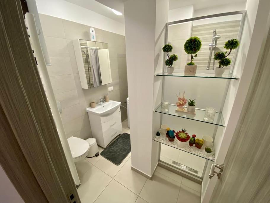 Cozy Central Apartment With 2 Rooms Bucureşti Ngoại thất bức ảnh